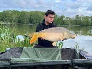 Mirror Carp