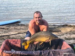 Mirror Carp