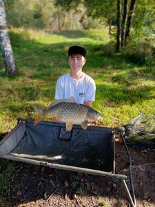 Common Carp