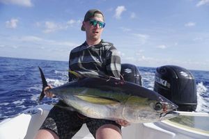 Yellowfin Tuna
