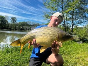 Common Carp