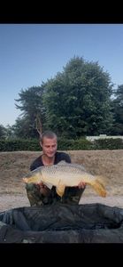 Common Carp