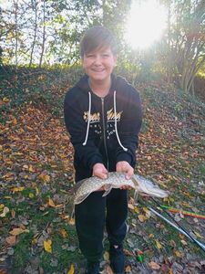 Northern Pike