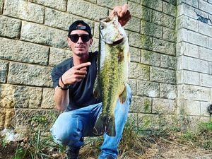 Largemouth Bass