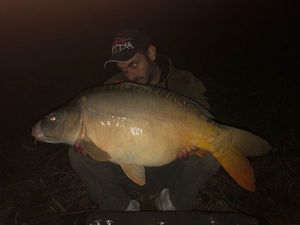 Mirror Carp