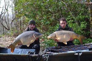 Mirror Carp