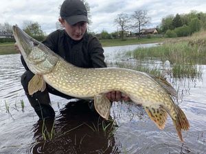 Northern Pike