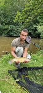 Tench