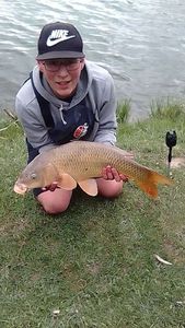 Common Carp
