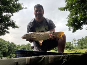 Common Carp