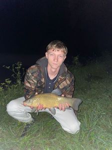 Tench
