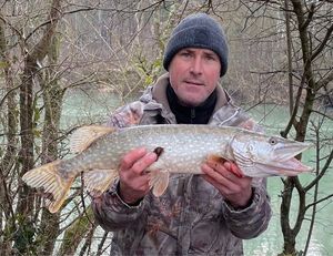 Northern Pike