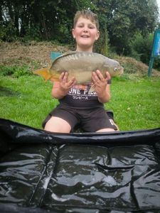 Mirror Carp