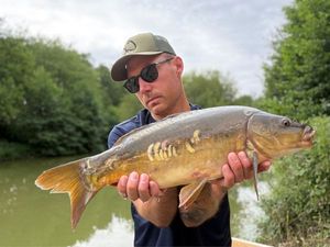 Mirror Carp