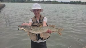 Northern Pike