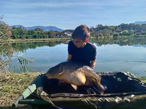 Mirror Carp