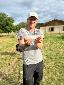 Rainbow Trout