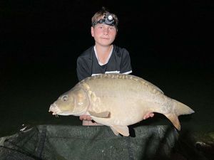 Mirror Carp