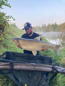 Grass Carp