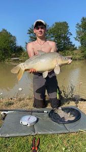 Mirror Carp