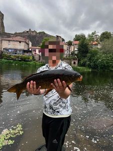 Common Carp