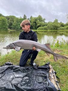 Sturgeon