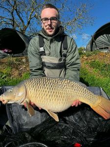 Mirror Carp