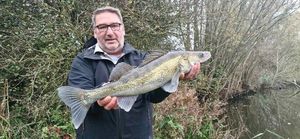 Zander