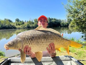 Common Carp