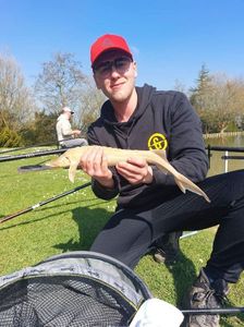 Sturgeon