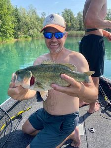 Largemouth Bass
