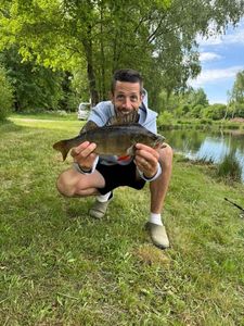 European Perch