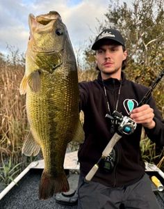 Largemouth Bass