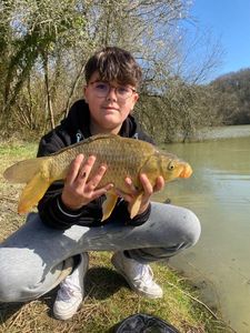 Common Carp