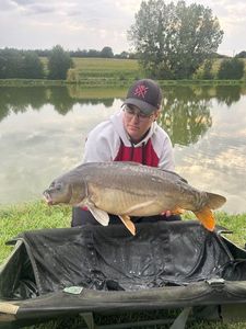 Mirror Carp
