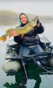 Northern Pike