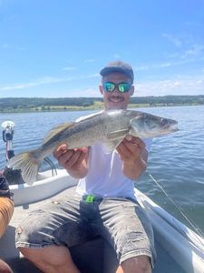 Zander