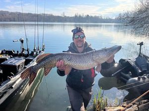 Northern Pike