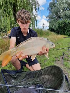 Mirror Carp