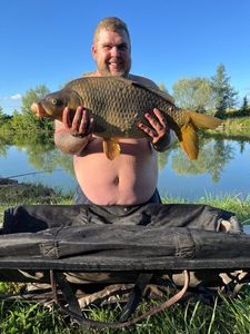 Common Carp