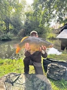 Mirror Carp
