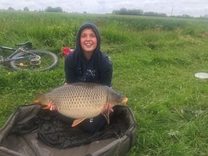 Common Carp
