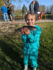 Rainbow Trout