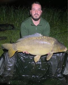 Mirror Carp