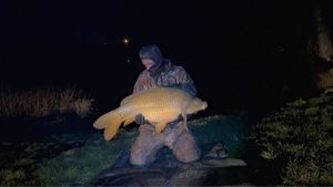 Common Carp