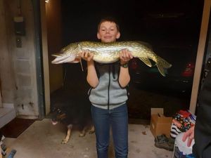 Northern Pike