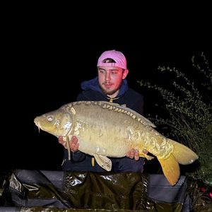 Leather Carp