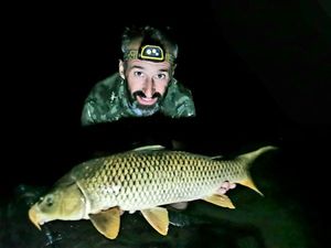 Common Carp