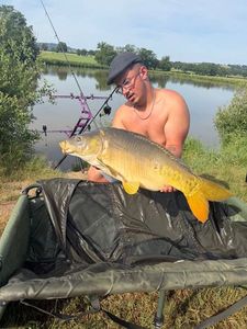 Mirror Carp