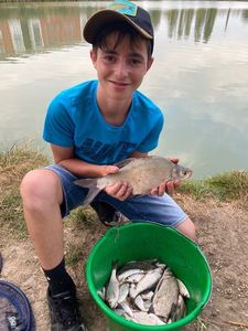 Common Bream